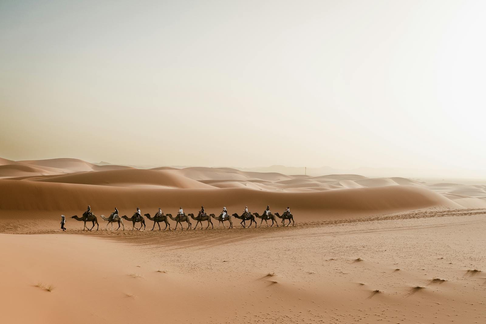 A picturesque camel caravan journey through Merzouga dunes in the Sahara Desert, Morocco.3 days marrakech to fes