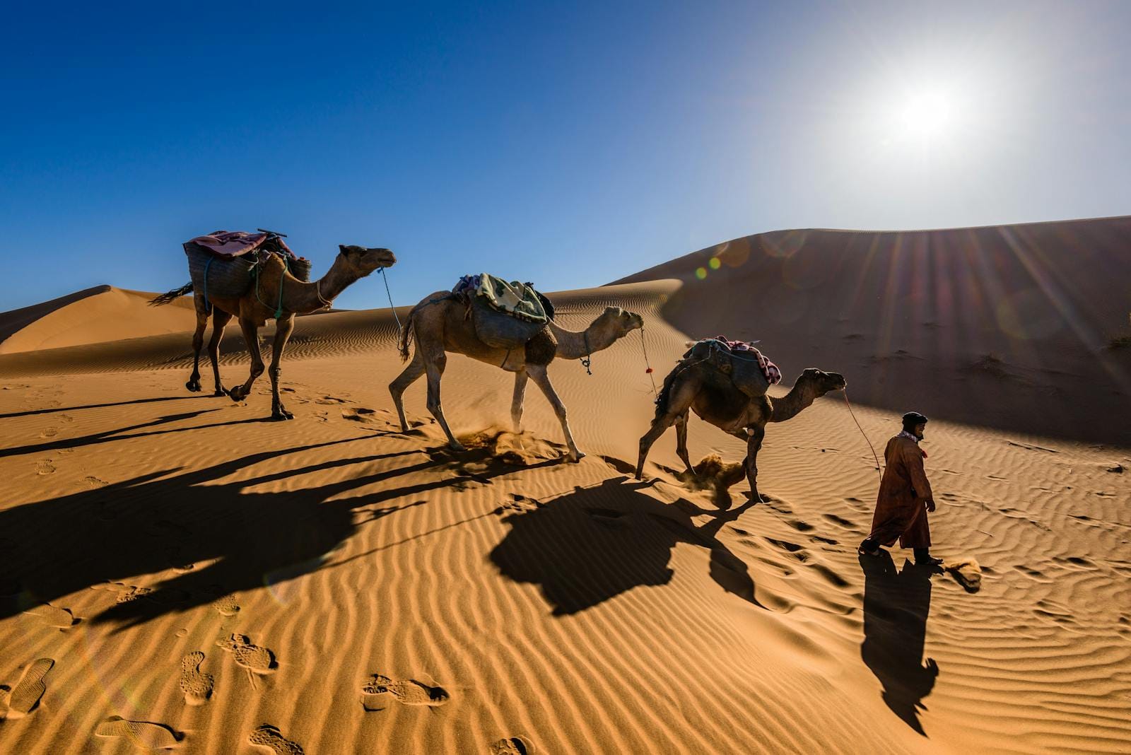 Camels and a person traverse sand dunes under the bright desert sun.4 days tour from marrakech to fes