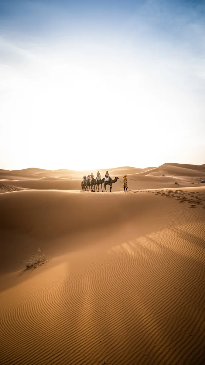 a group of people riding camels across a desert,about us