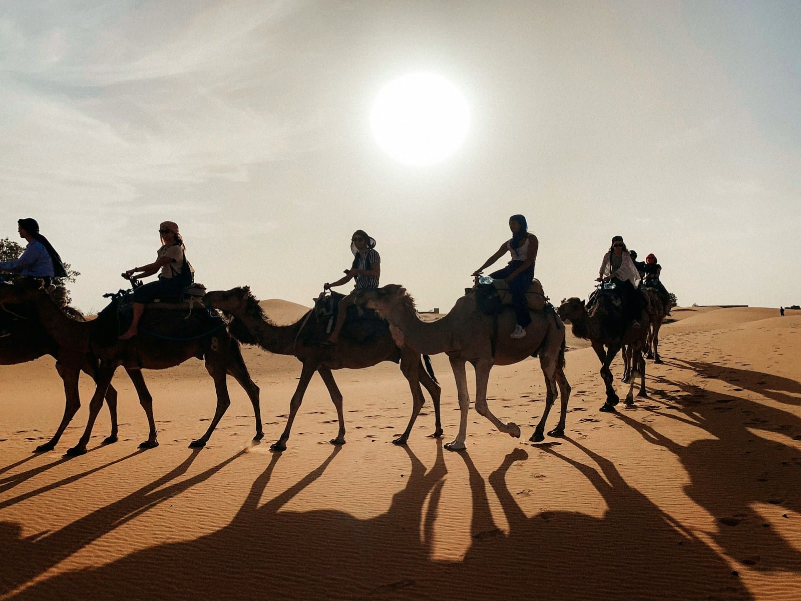people riding camel on desert during daytime,errachidia to merzouga