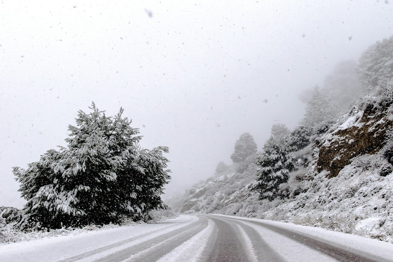 road pavement in between trees,Morocco weather December,morocco in december