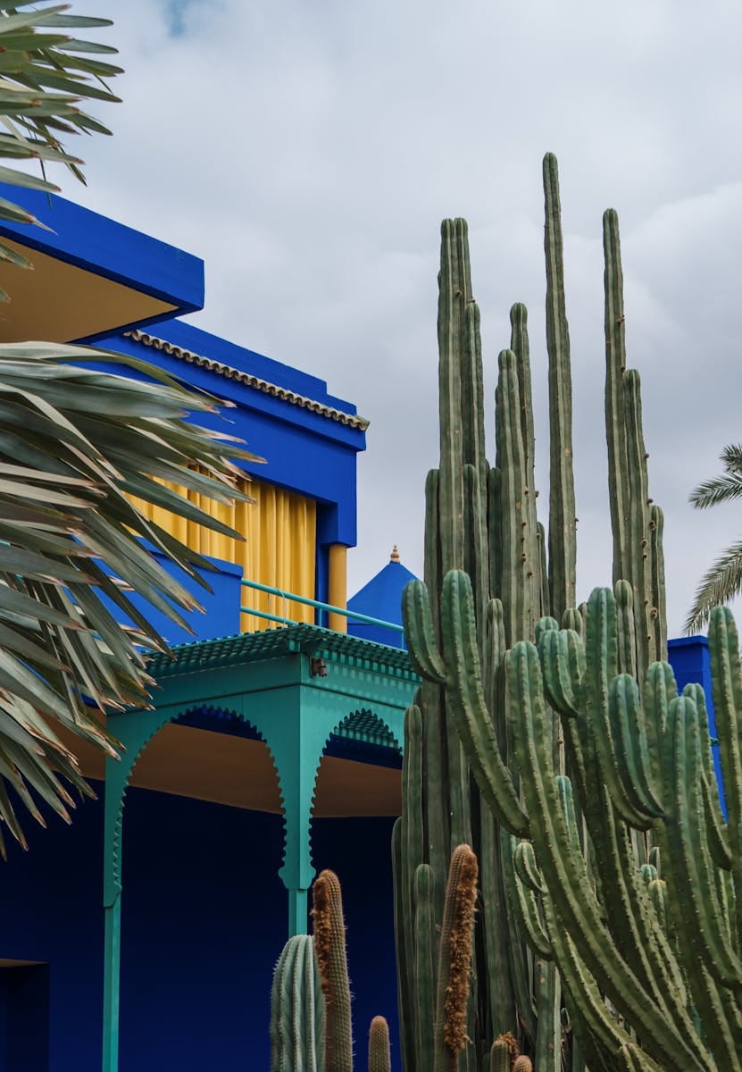 Striking blue architecture with tall cacti and cloudy sky in Marrakesh's Majorelle Garden.
