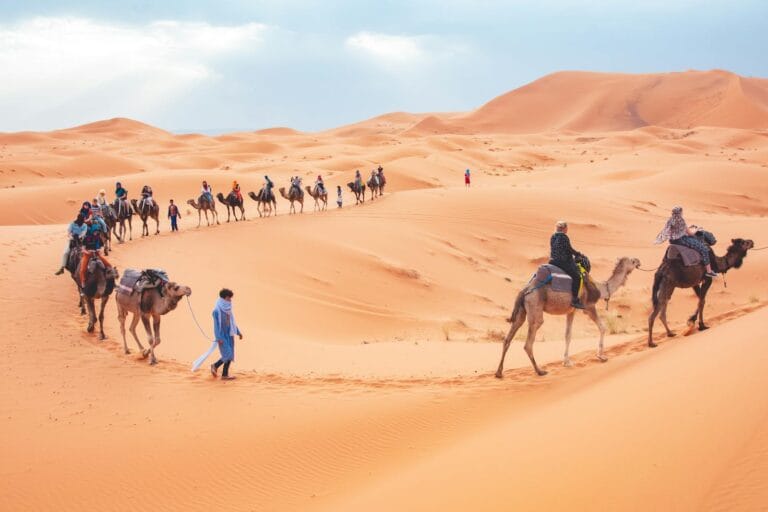 Tourists ride camels across the scenic sand dunes of Merzouga, Morocco.Morocco in February