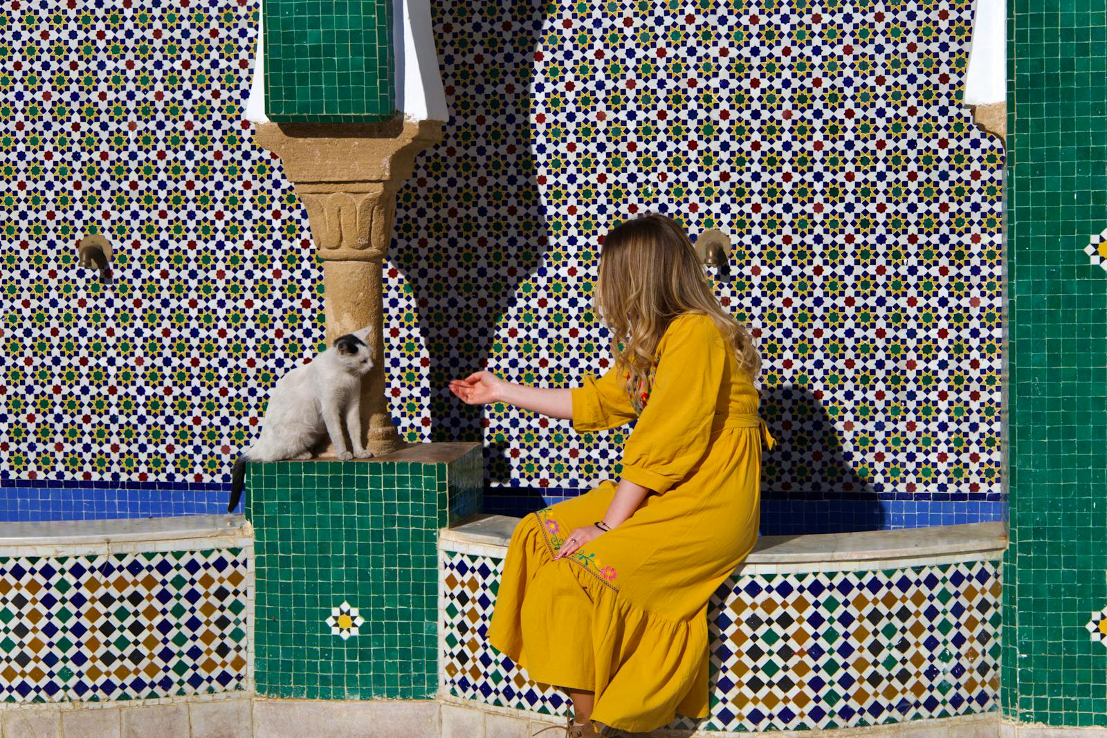 A woman in a yellow dress reaches out to a cat in a Moroccan courtyard with colorful tiles.Morocco Climate in February