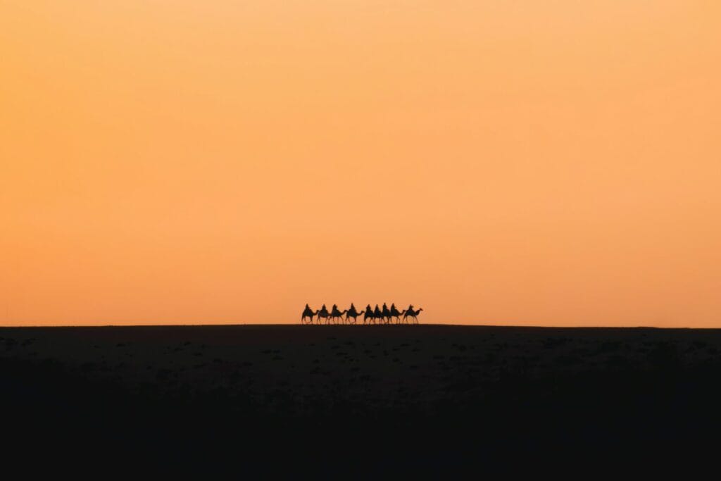 Camels silhouetted against an orange sunset sky,Nomads in Morocco