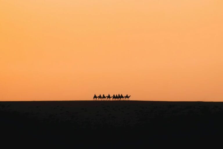 Camels silhouetted against an orange sunset sky,Nomads in Morocco