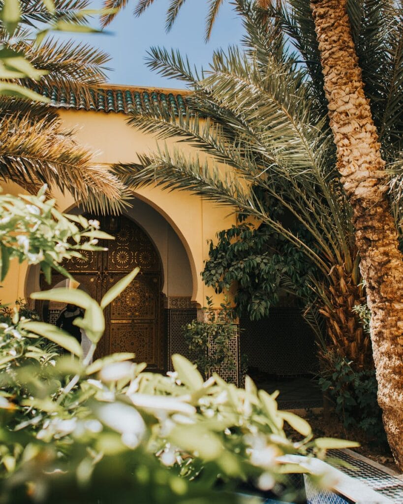 Serene view of Moroccan architecture with lush palm trees in Rissani, Morocco.Rissani Marokko