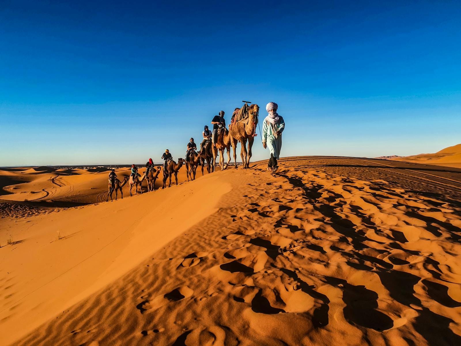 A caravan of camels led by a person traverses the sunlit desert dunes.Weather in Morocco in March