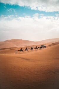 A camel caravan traverses the vast sand dunes of Al Wahat Al Dakhla Desert under a blue sky.temperatuur marokko februari