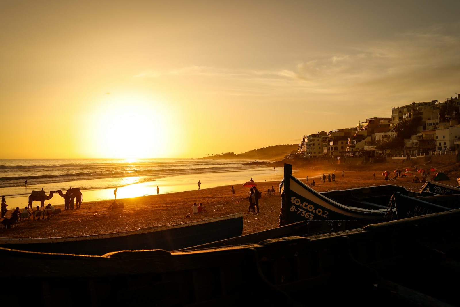 a group of people on a beach at sunset