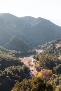 green trees on mountain during daytime,atlas mountains weather december