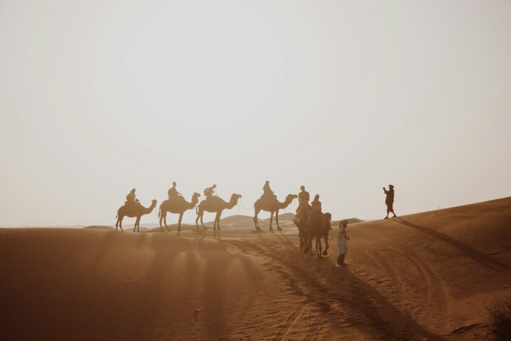 many people riding on camel through the desert field during daytime.weather in morocco in may