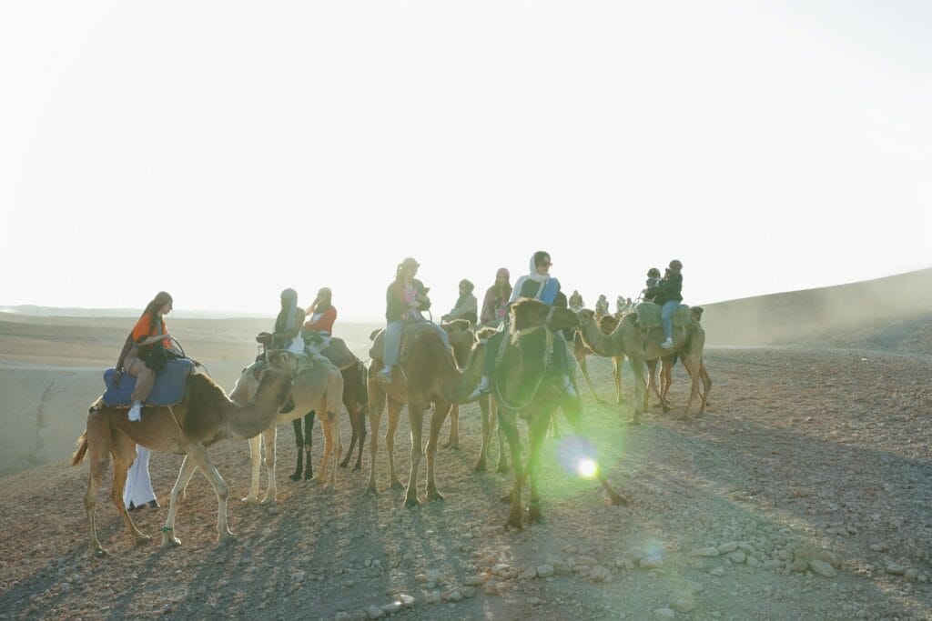 People ride camels through a sunny desert.agafay desert,Is Agafay a real desert