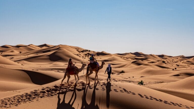 two persons riding camels beside walking person at the desert during day.Hottest City in Morocco