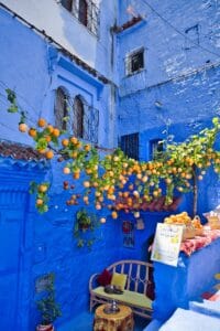A blue alleyway with oranges hanging from it.Morocco in August