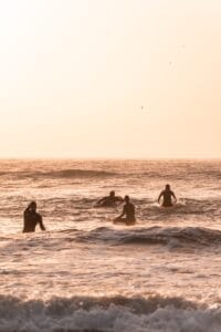 a group of people surfing in the sea
