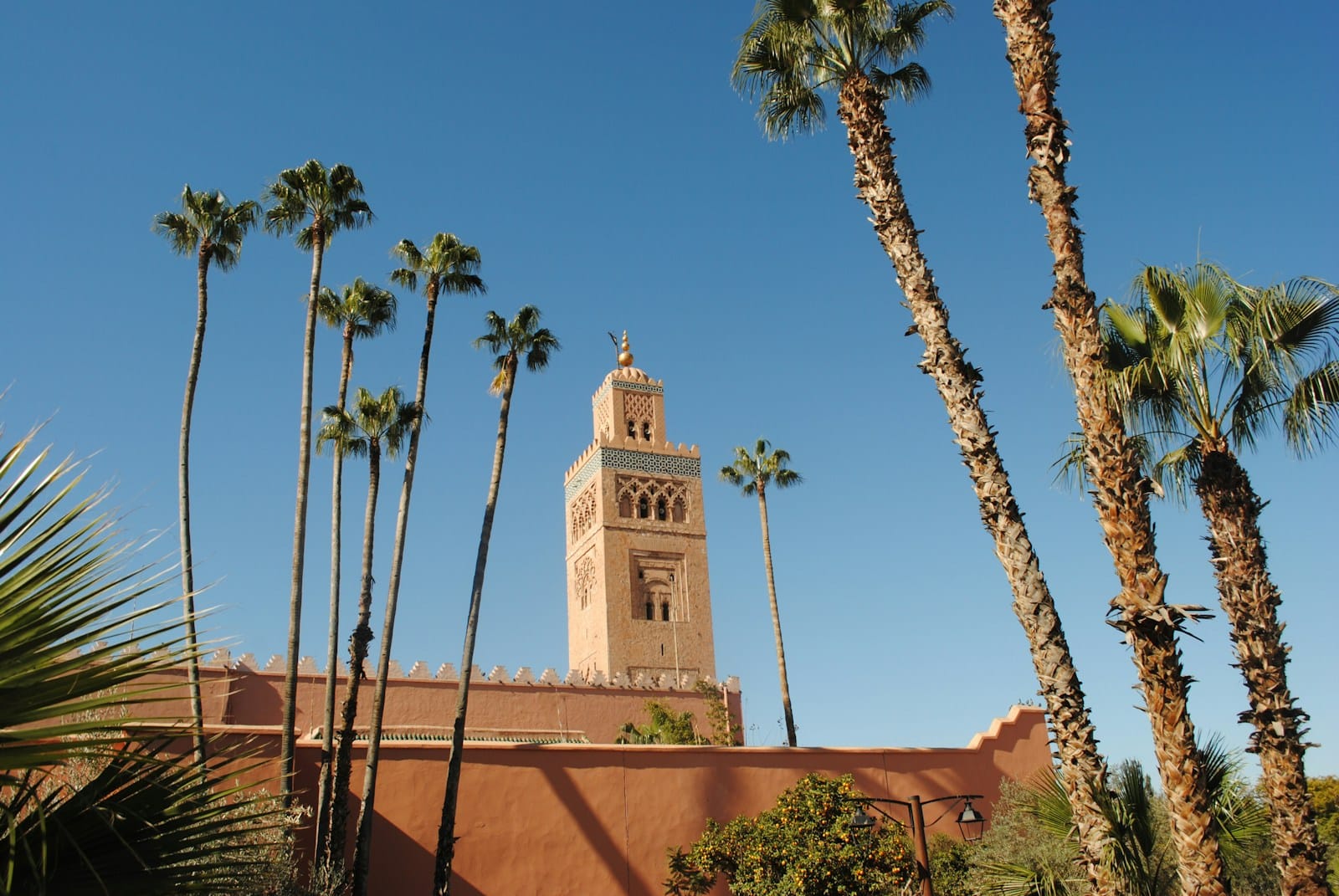 beige concrete building near palm trees under blue sky during daytime.casablanca from marrakech
