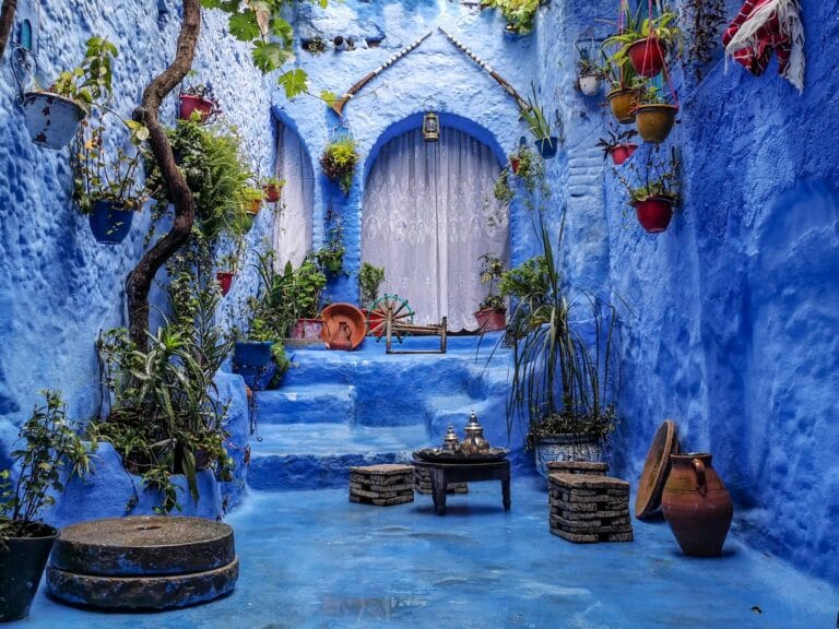 a blue alley with potted plants and a bench.What to Do in Chefchaouen