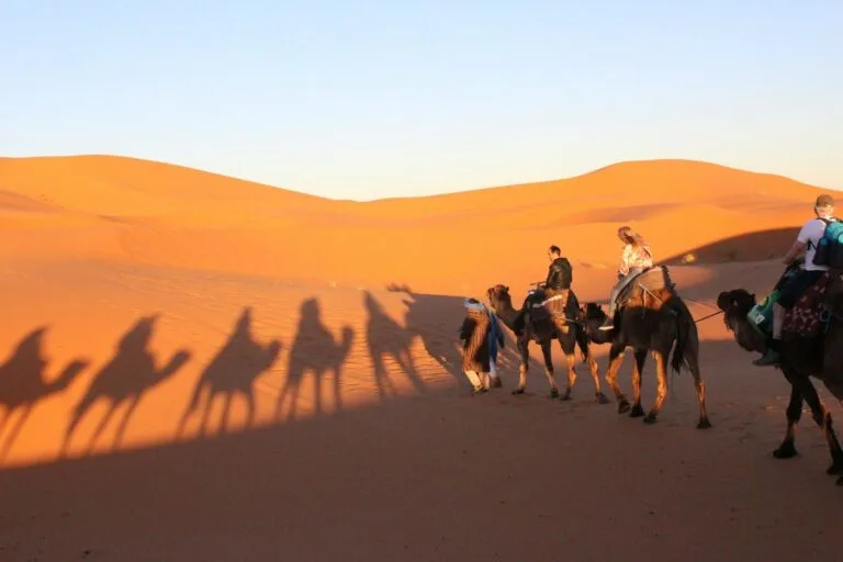 people riding camel on desert during daytime.Merzouga From Marrakech