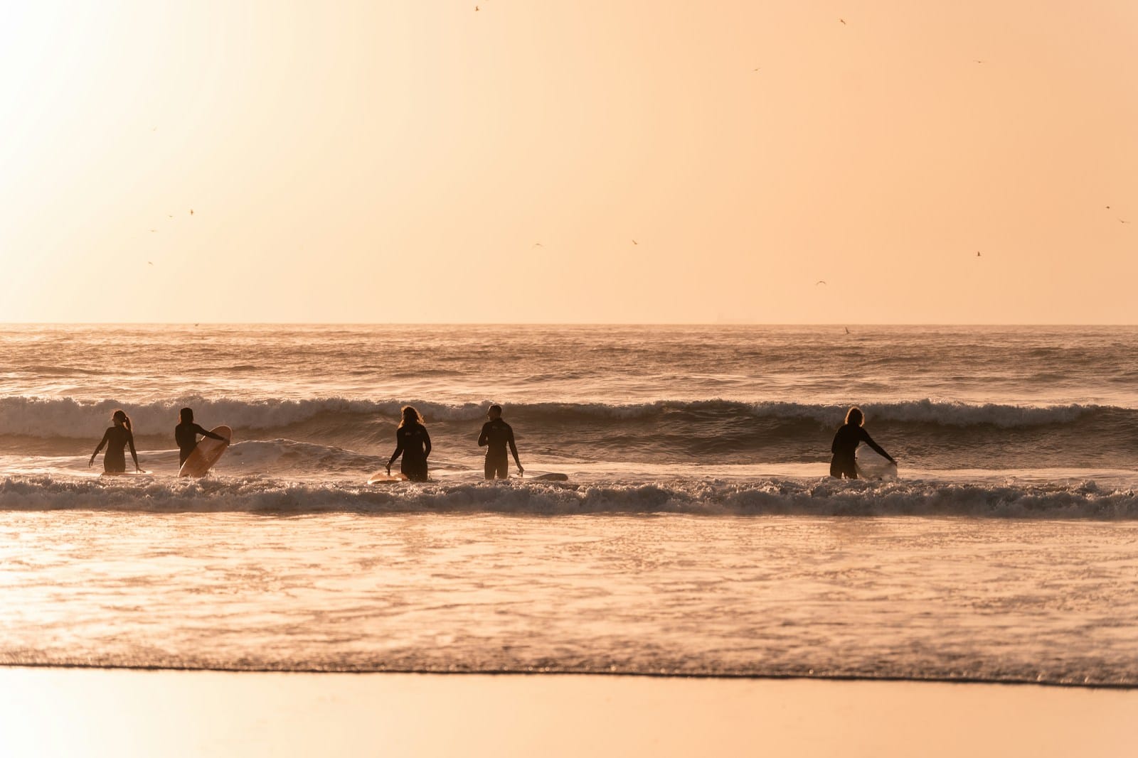 a group of surfers in the ocean