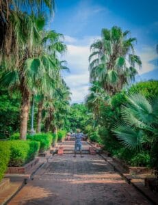 Man exploring a lush green pathway surrounded by palm trees in New Delhi, India.