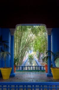 Assorted exotic plants and water basin in Majorelle Garden located in Marrakesh on sunny day
