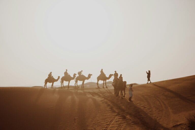 many people riding on camel through the desert field during daytime.Weer in Marokko januari