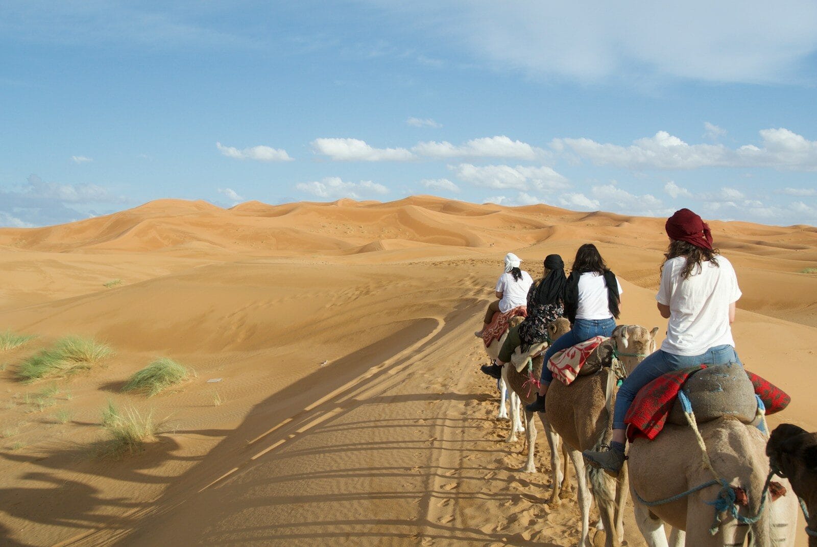 A group of people riding on the backs of camels.2 Weeks in Morocco with Family