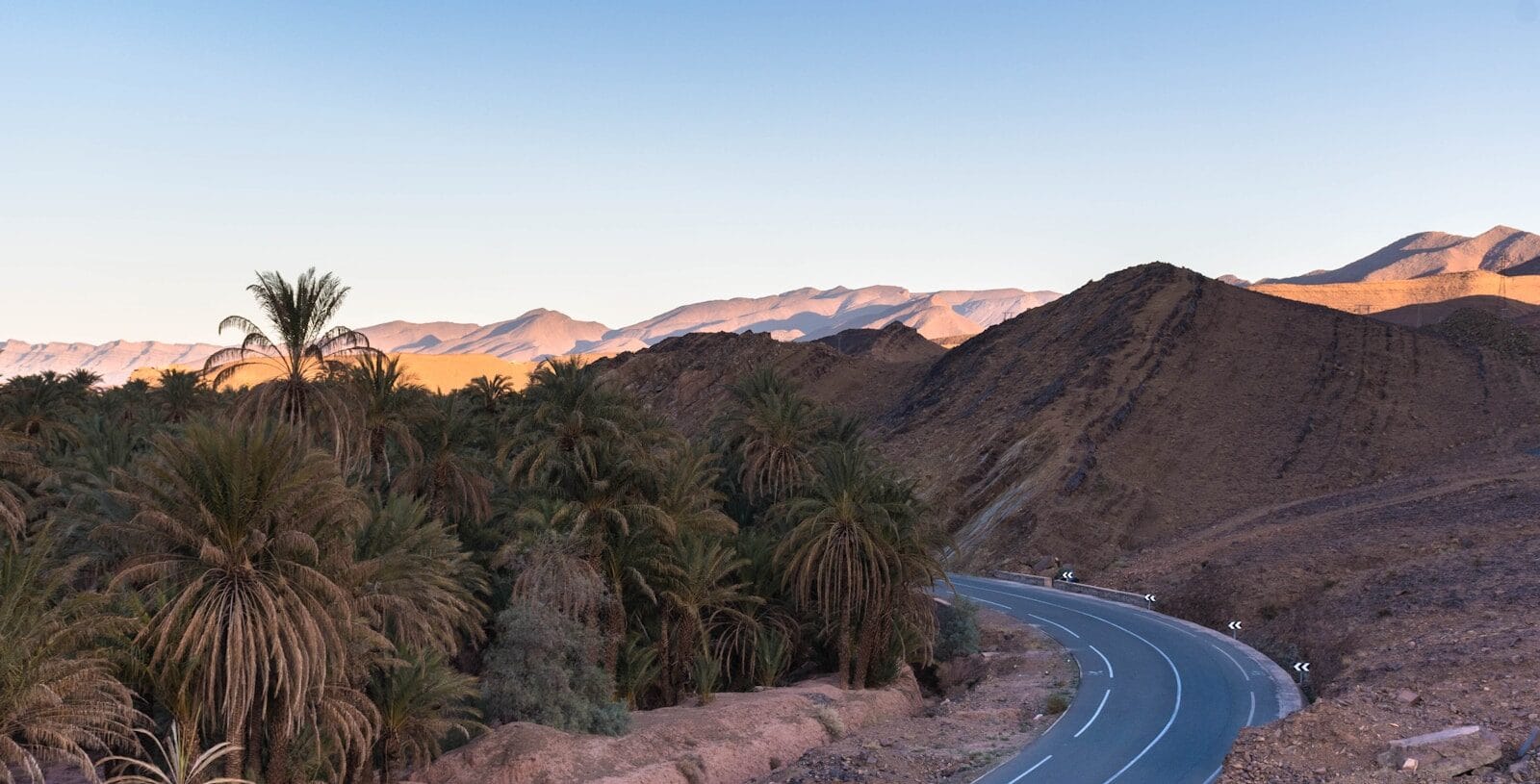 a winding road surrounded by palm trees and mountains.Draa Valley Morocco