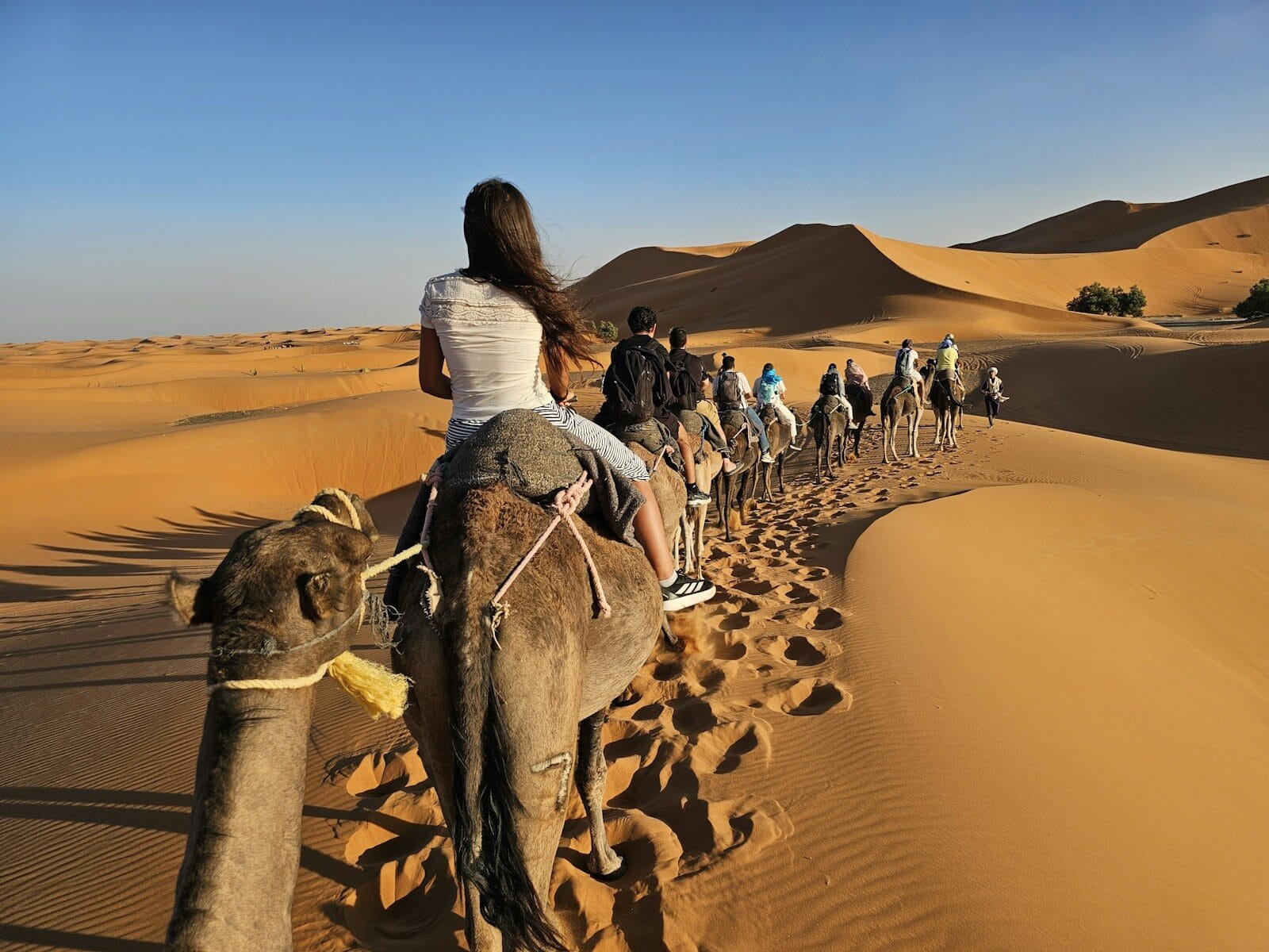 People riding camels through sand dunes at sunset.morocco honeymoon