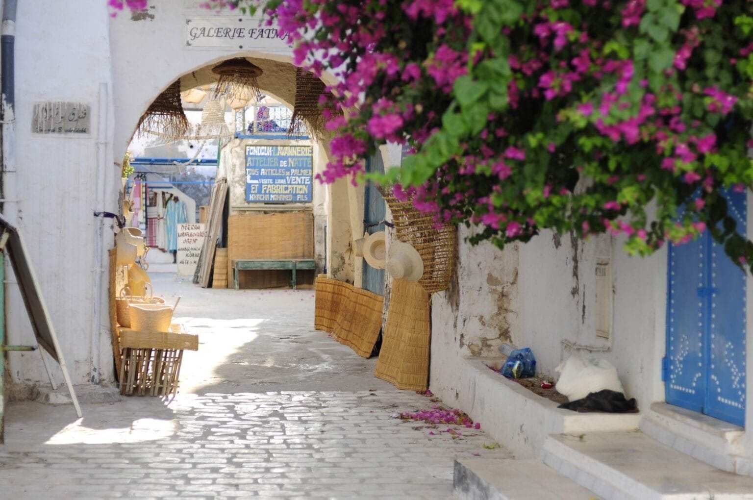 Charming narrow street in Sidi Bou Said featuring vibrant flowers and traditional architecture.