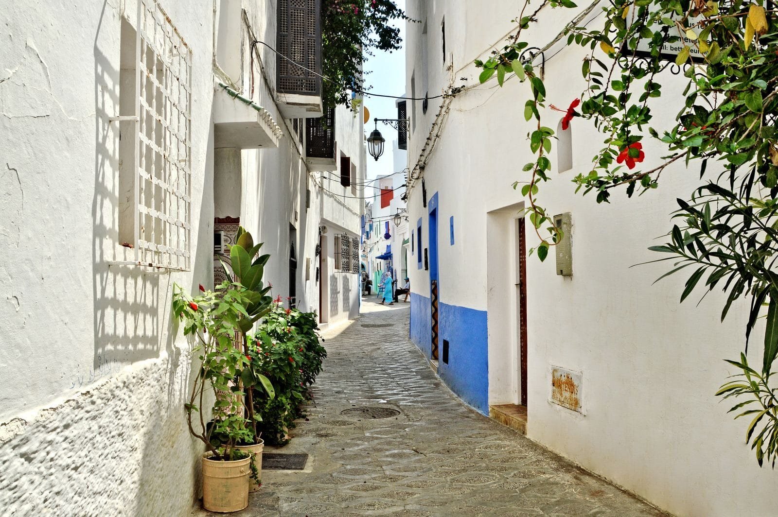 Picturesque alley with white and blue walls in Asilah, Morocco, featuring lush greenery.