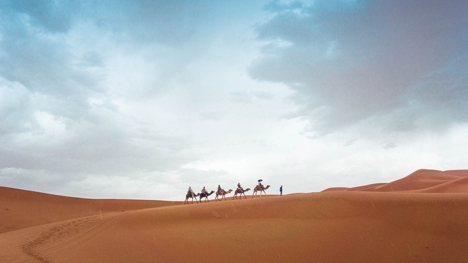 five camels walking on sand during daytime.Morocco Atlas Mountains desert Merzouga 6 day itinerary
