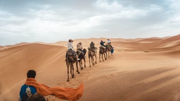 several people riding camels on desert during daytime.luxury family