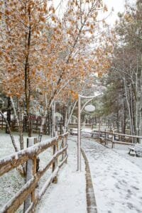 A serene snowy park walkway with trees, fences, and benches under a winter sky.Ifrane National Park