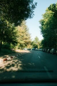 Road lined with trees and parked cars on a sunny day.Ifrane National Park