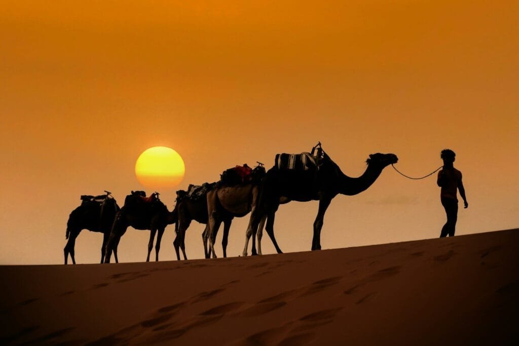 a person leading a group of camels on a sandy beach.Fes to Merzouga
