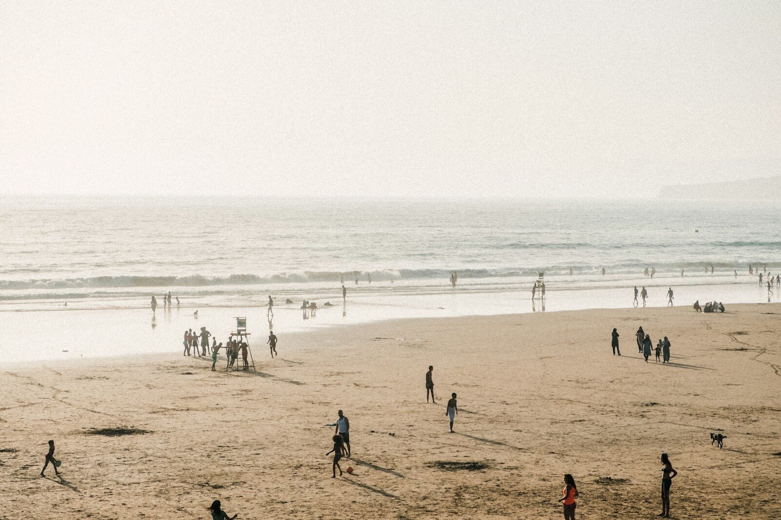 people on beach during daytime