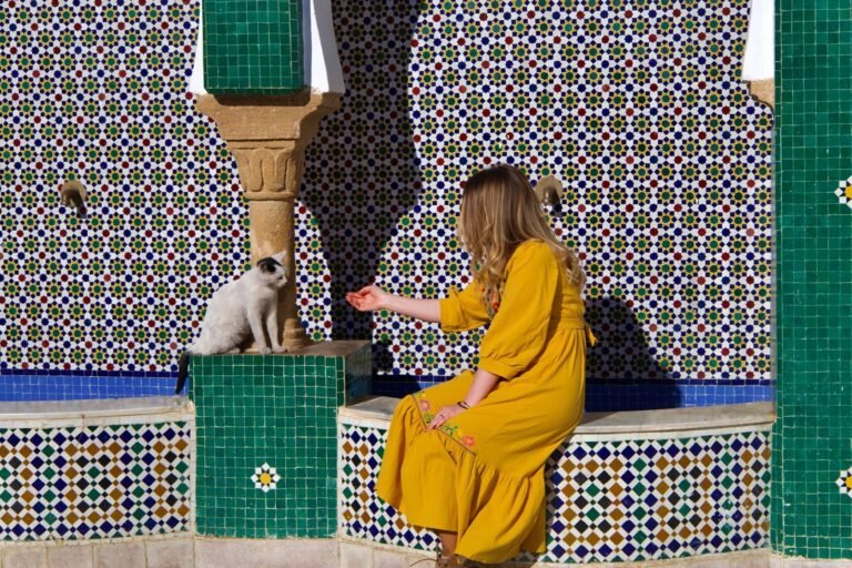 A woman in a yellow dress reaches out to a cat in a Moroccan courtyard with colorful tiles.Headscarf in Morocco