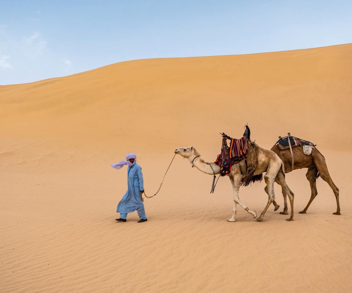 Man leading camels through the Sahara desert's golden dunes under a clear sky.3 days desert tour from Fes to Marrakech