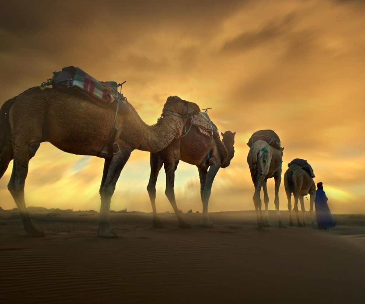Stunning desert landscape featuring a caravan of camels and person at sunset.3 days desert tour from Fes to Marrakech