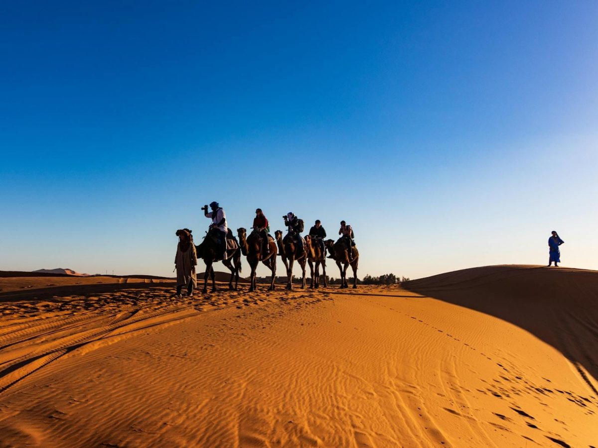 A group of travelers on camels crossing the sandy dunes of the Sahara Desert under a clear blue sky.3 days desert tour Marrakech to Fes