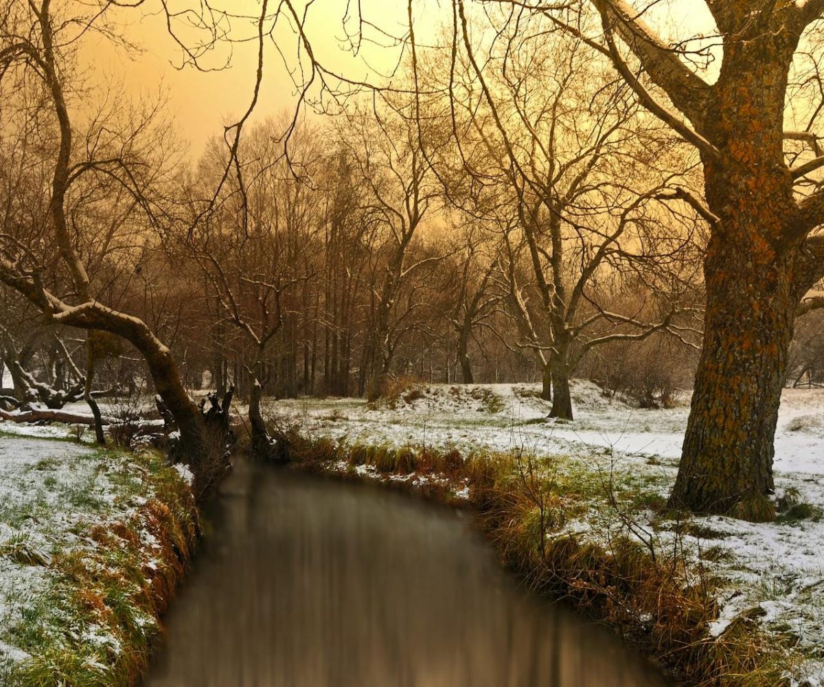 A tranquil winter landscape featuring a snow-covered stream in Ifrane, Morocco.3 days desert tour from Fes to Marrakech