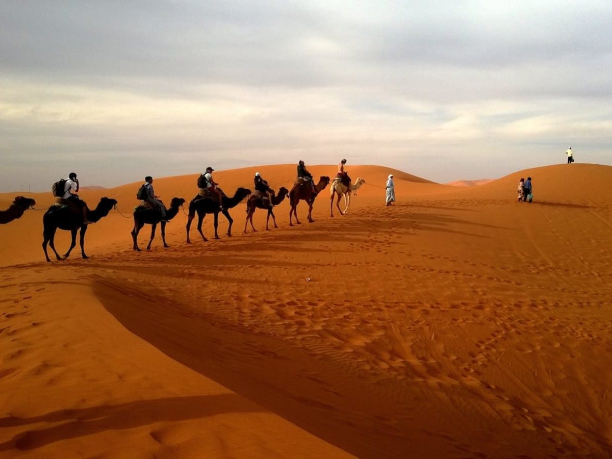 A group traveling on camels over reddish sands under a cloudy sky in a vast desert landscape.3 days desert tour Marrakech to Fes