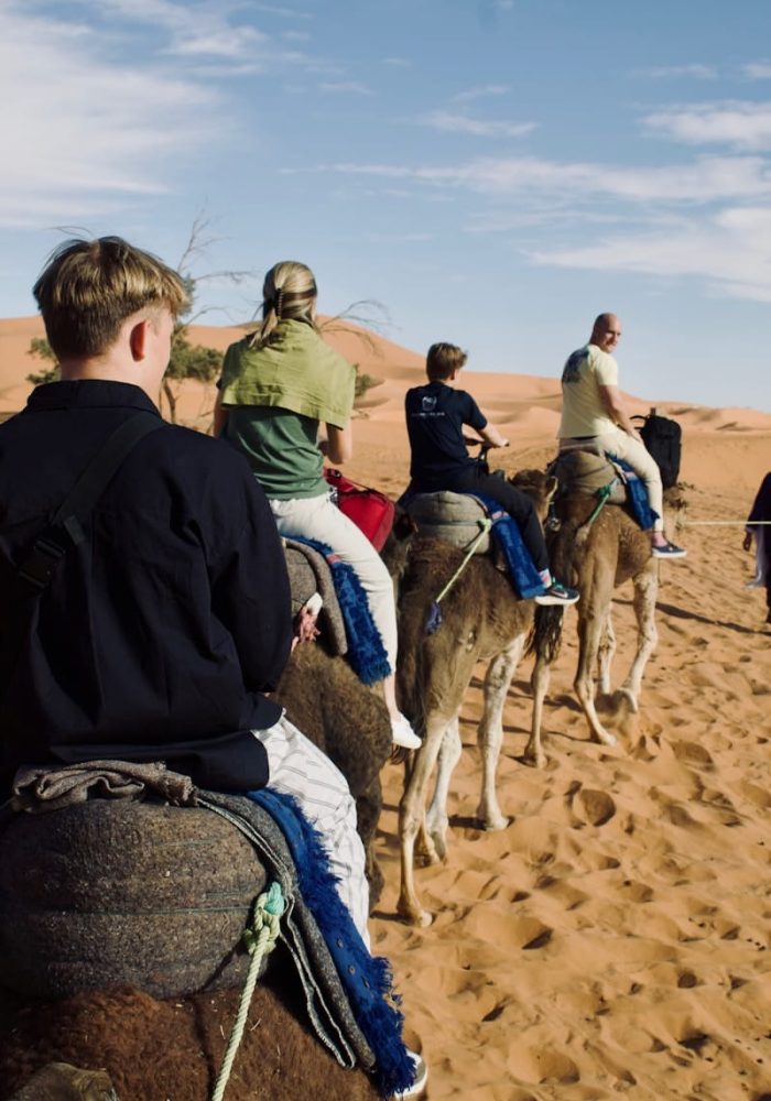 a group of people riding on the backs of camels