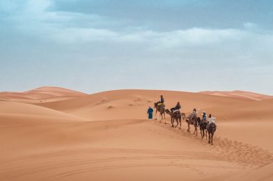 people riding on camel during daytime