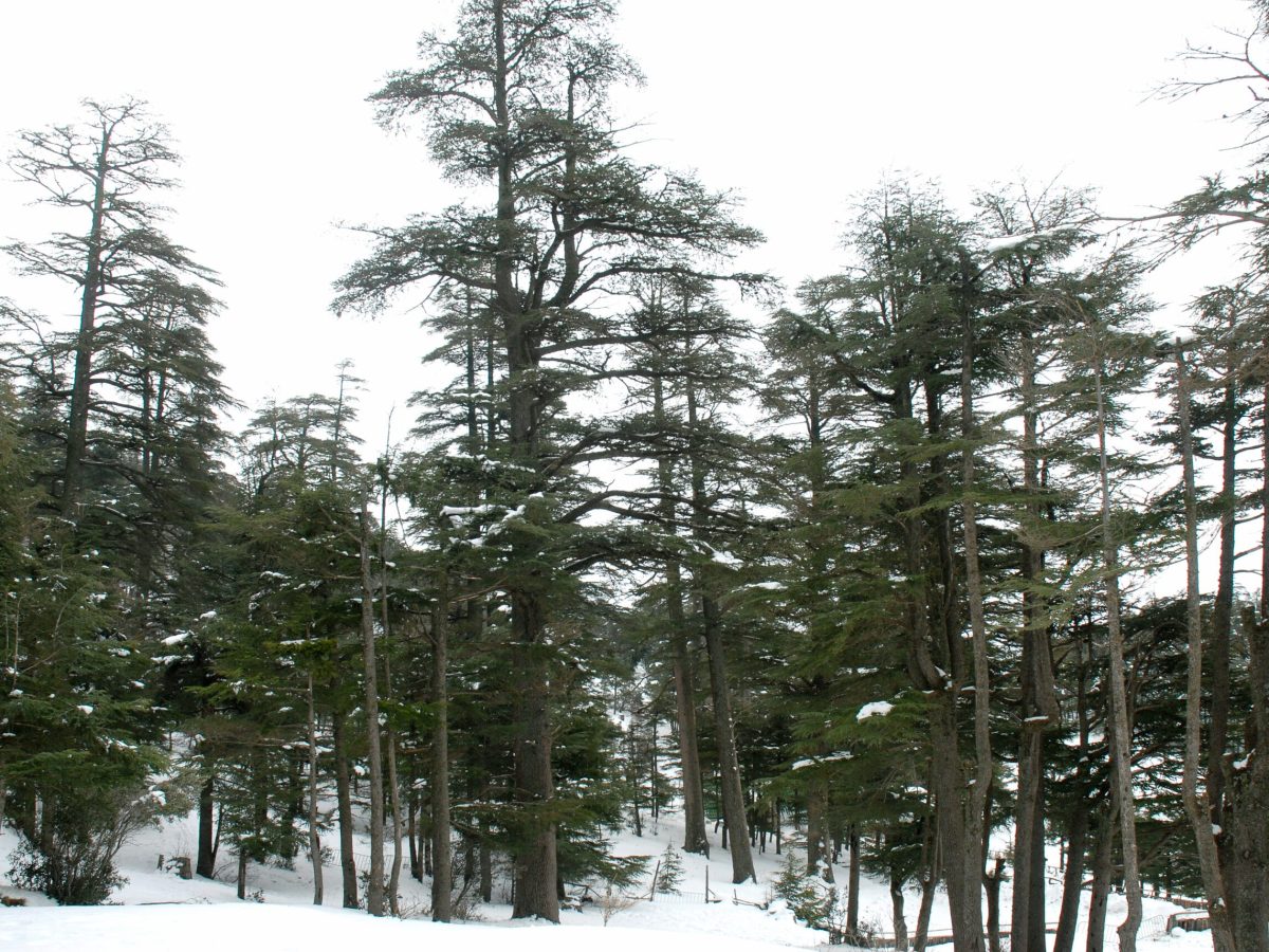 3 days desert tour Marrakech to Fes