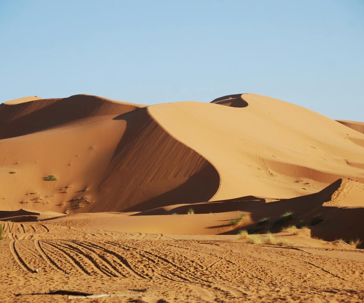 Mesmerizing view of sand dunes under a clear blue sky in Merzouga, Morocco.errachidia to merzouga