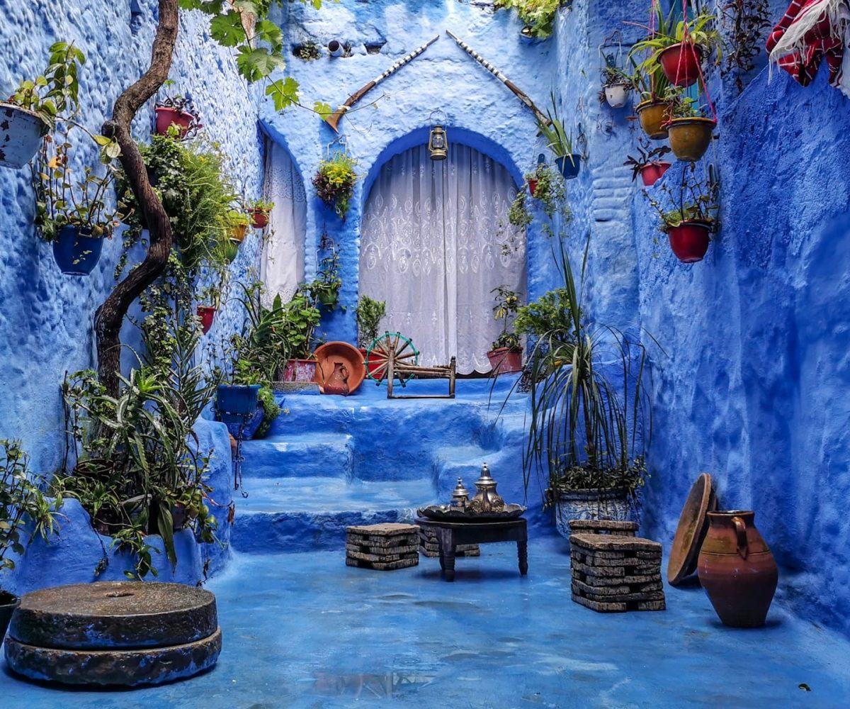 a blue alley with potted plants and a bench,2 Days Casablanca to Chefchaouen