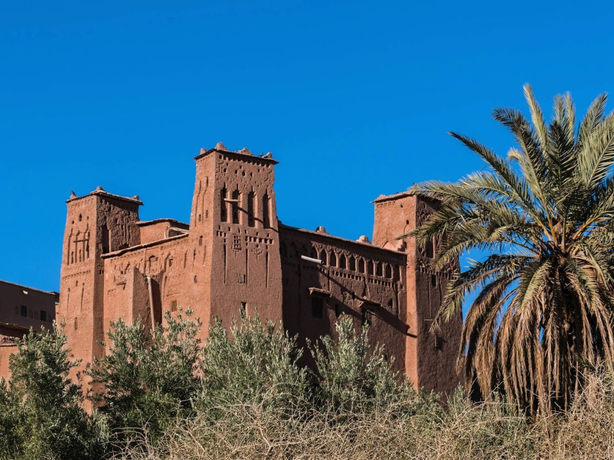 a tall building with a palm tree in front of it,7 days tour from Tangier to Marrakech